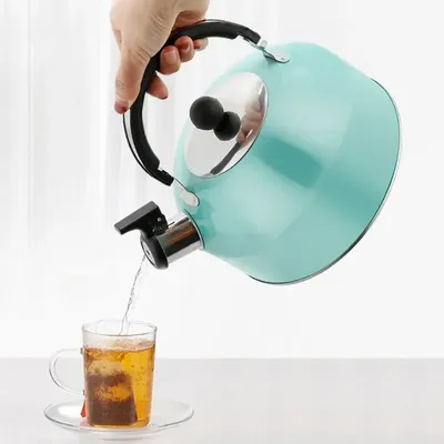 3l Stainless Steel Water Kettle Gas Heating Stainless Steel Whistle Thermal Kettle Trips Cooking Tea