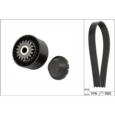 Schaeffler Ina Keilrippenriemensatz [Hersteller-Nr. 529031810] für Renault Image