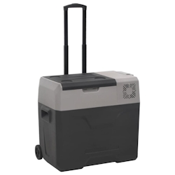 vidaXL Kühlbox mit Rollen und Griff Schwarz & Grau 30 L Polypropylen Image
