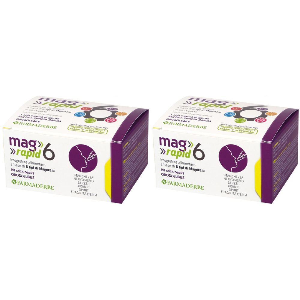 Mag 6 Rapid 20 Stick Da 1,5 G 2x20x1,5 g Polvere per soluzione orale