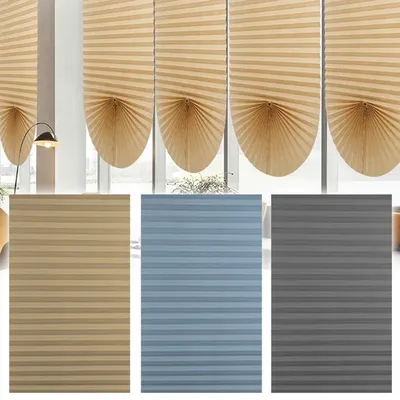 Window+Blinds