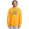 Kapuzensweatshirt DC SHOES "DC Star", Herren, Gr. XS, gelb (radiant gelb), 55% gekämmte Baumwolle, 25% Baumwolle, 20% Polyester, Langarm, Sweatshirts