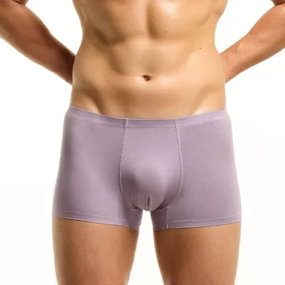 Herrenunterwäsche, Herren-Boxershorts, Modalhosen, atmungsaktive Sommer-Boxershorts für Jungen, sexy Jugend Image
