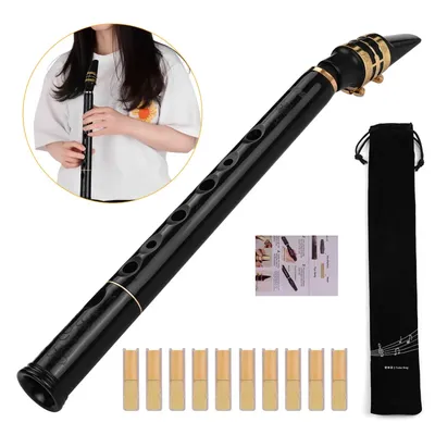 HiXing C Key Mini Pocket Saxophone Sax ABS Material with Mouthpieces 10pcs Reeds Carrying Bag
