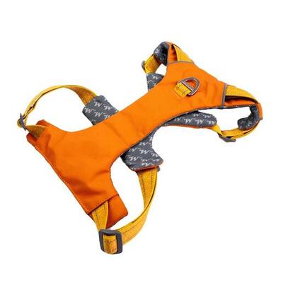 Winchester Comfort-Fit Padded Dog Harness - Hawaiian Sunset - Hawaiian Sunset Medium