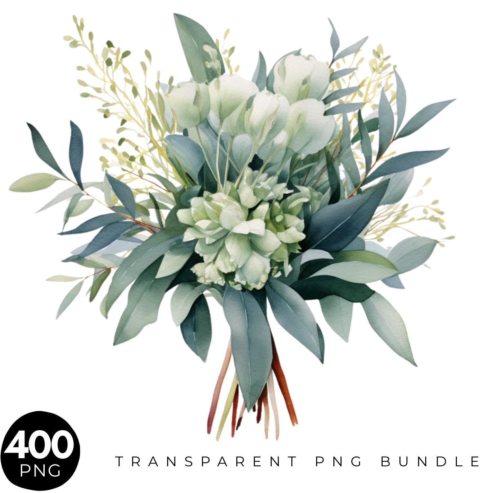 400 bundle di clipart di eucalipto ad acquerello, foglie di eucalipto PNG, bouquet di ghirlande di eucalipto, clipart di verde doccia di eucalipto