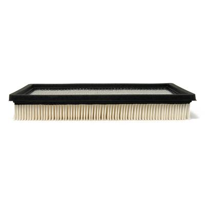AC Delco Air Filter Disposable Professional Series, 24-months or unlimited mile limited warranty A1129C