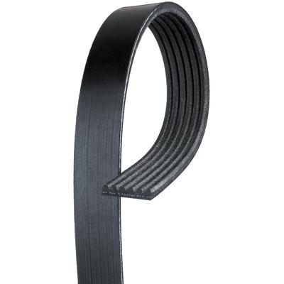 AC Delco Serpentine Belt Fan belt Professional Series, Accessory Drive, Lifetime limited warranty 6K1073