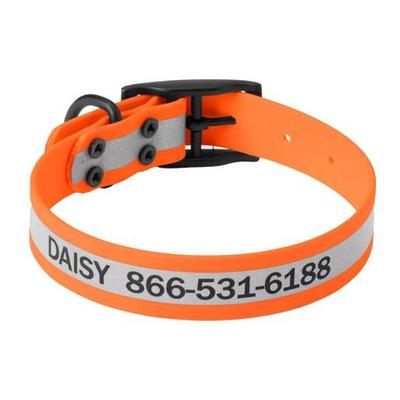 Orvis Waterproof Dog Collar - Orange - Orange 11in - 14in
