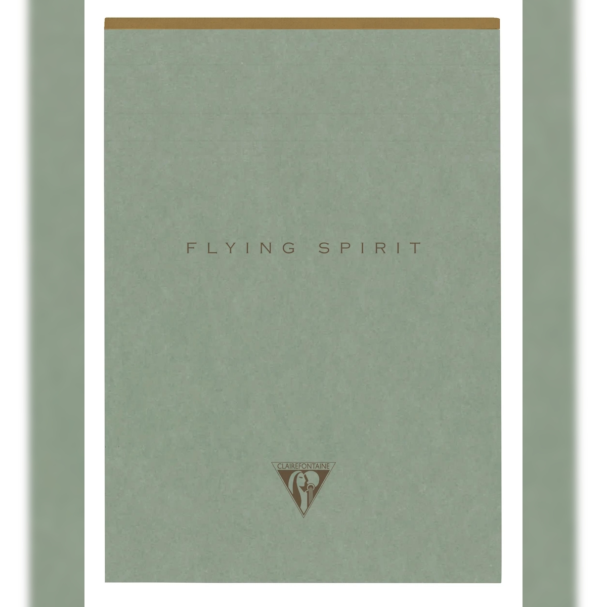 Clairefontaine 5x Flying Spirit Green, Block A5 kopfseitig mit Leinenbezug, 70 Blatt abtrennbar, liniert, Papier 90g, Motive - Graugrün 107636C Image