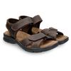 Sandale PANAMA JACK "Sanders", Herren, Gr. 44, braun (dunkelbraun), Nappaleder, vintage, casual, Schuhe, Sommerschuh, Outdoorsandale, Urlaubschuh mit Klettverschlüssen
