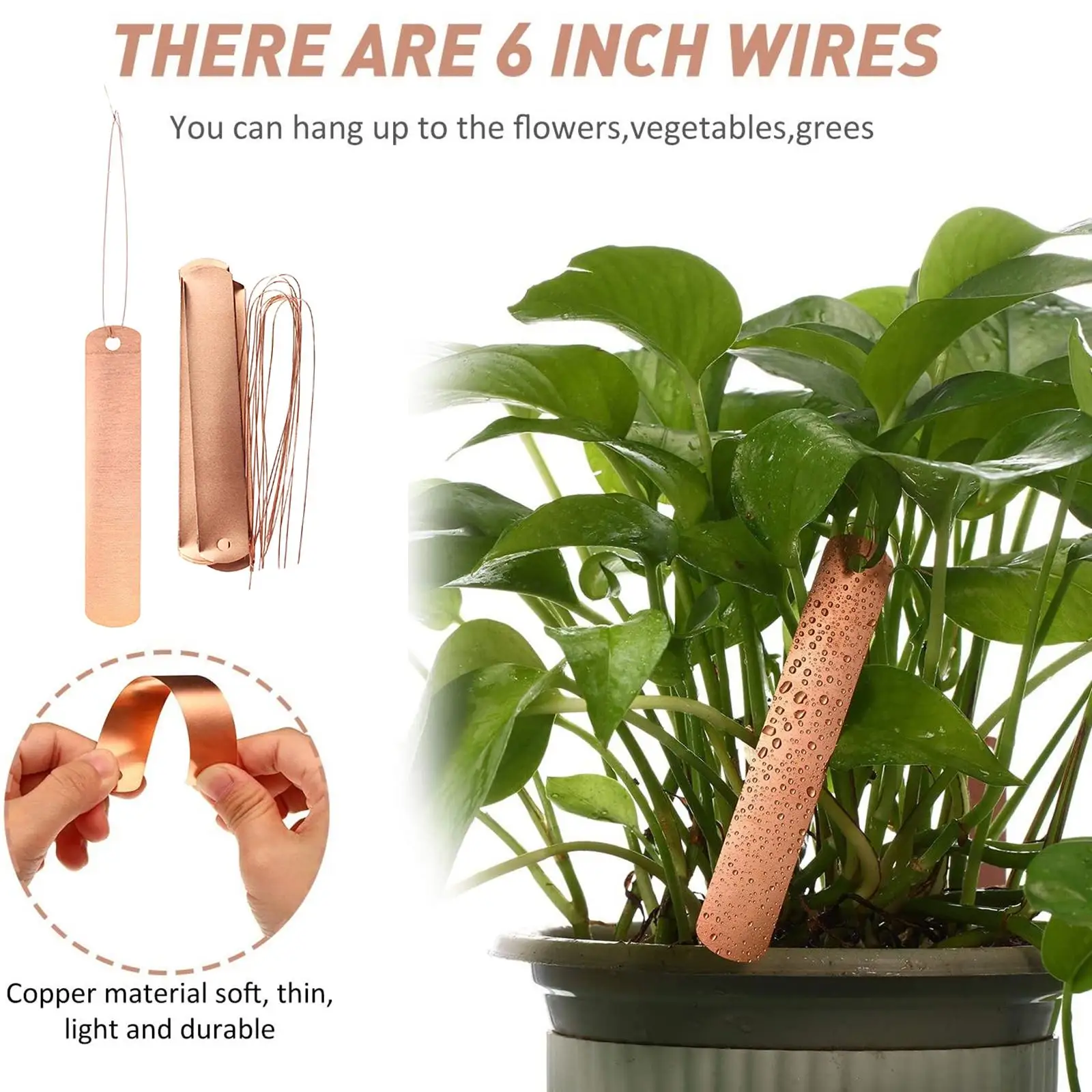 20 stücke Kupfer Pflanzen Etiketten Blumentöpfe Marker Zeichen Baum wasserdichte Gemüse Blume Tags 12cm Kräuter seeding Gartengeräte Image