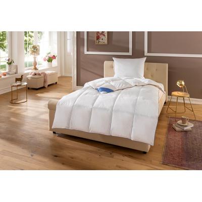 Daunenbettdecke HANSE BY RIBECO "Lina", weiß, B:155cm L:220cm, Füllung: 90% Daunen, 10% Federn, Bettdecken, Hochwertiges Naturprodukt Image