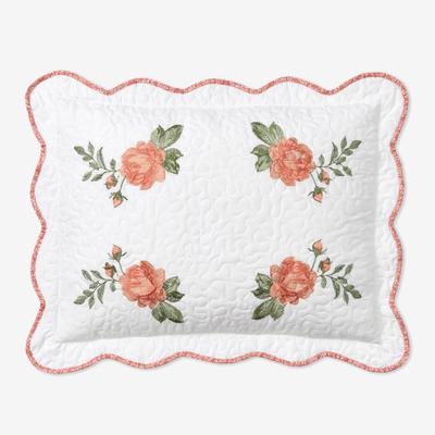 Rose Sham by BrylaneHome in Blush (Size STAND)