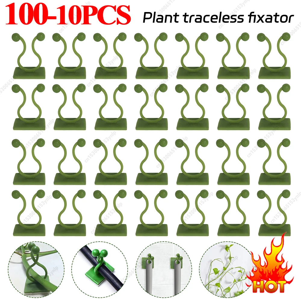 10–100 Stück Pflanzen-Kletterwand-Clips, Ranken-Schnalle, Haken, Rattan-Klemme, Fixateur, selbstklebender Pflanzen-Stent, unsichtbarer Ranken-Klettern, fest Image