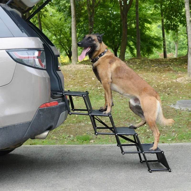 hundetreppe