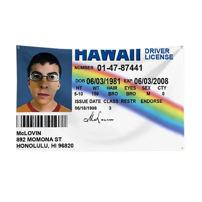 McLovin ID Outdoor Decorations Garage Decoration Garden Flag to Hang Decorative Flags for Rooms Flags and Banners Home Decor Car