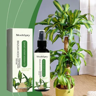 Fertilizers