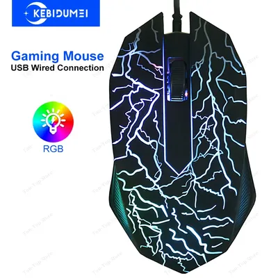 Computer+Gaming+Software
