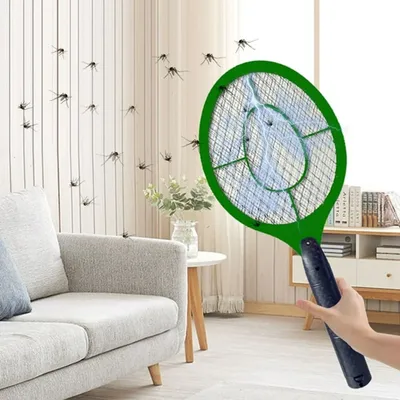 Pest+Control
