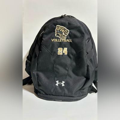 Under Armour Bags | Under Armour Hustle 5.0 Storm Team Backpack Laptop Vb Sports Pockets 24 Unisex | Color: Black | Size: Os