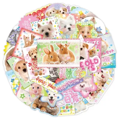 Card image cap