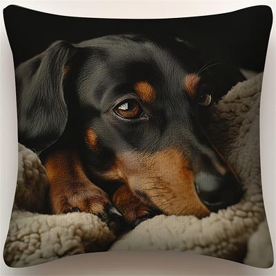 TEMU 1pc Dachshund 2d Double-sided Print Throw Pillow Cover, Add A Touch Of Graduation Season To Your Home, 18×18 Inch, No Embroidery Or Tassels, No Pillow Included - Ideal For Father's Day, Hjy4237 Image