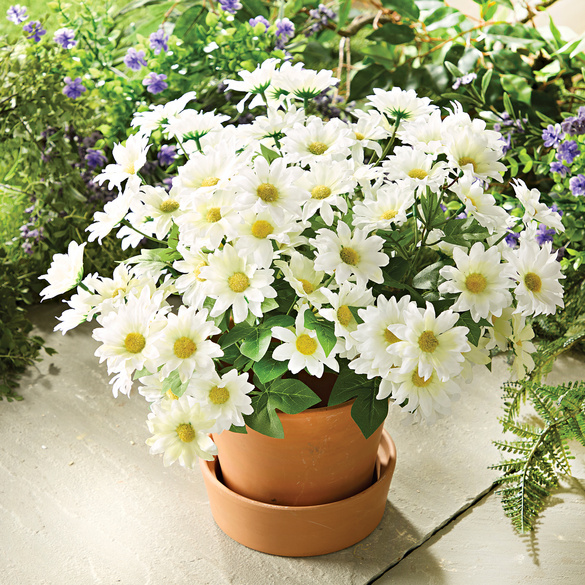 Kunstblumensträuße Margeriten 3er-Set Gainsborough Image