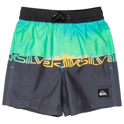 Quiksilver - Kid's Everyday Straight Volley Boy 12 - Boardshorts Gr 5 Years blau Image