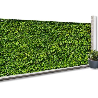 Verdunkelnder Sichtschutz 1 x 10 m bedruckt mit Laub 160 gr/m² Image