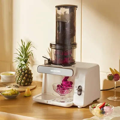 Large Caliber Juicer Household Low-speed Juicer Multifunctional Fruit Vegetable Screw Slow Juicer