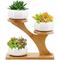 Vasi di fiori in ceramica con vassoio di bambù, piccoli vasi di fiori di cactus per casa, ufficio,
