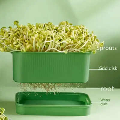 Sprouting Tray Box Vegetable Soilless Pea Bean Seedling Nursery Trays Hydroponics Sprout Plate Seed