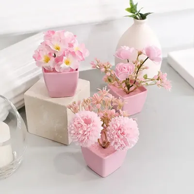 Flowers+Plants