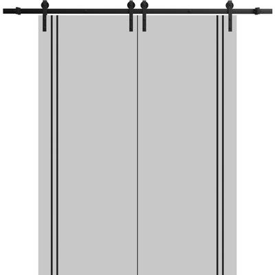 Sturdy Double Barn Door 36 x 80 with Planum 0016 Grey Matte with 13FT