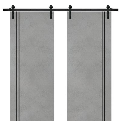 Sturdy Double Barn Door 36 x 80 with Planum 0016 Concrete with 13FT