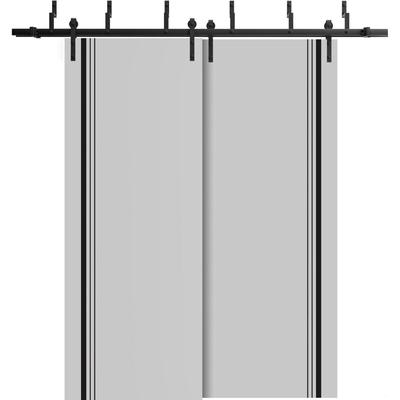 Sturdy Barn Door 36 x 80 Planum 0011 Grey Matte with 6.6FT