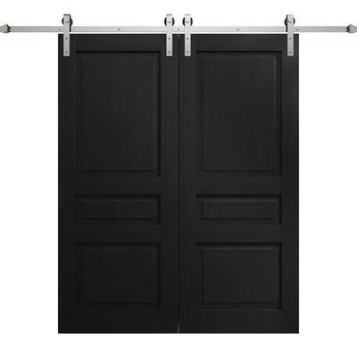 Modern Double Barn Door 36 x 80 inches | Ego 5012 Painted Black Oak | 13FT Silver Rail Track Set | Solid Panel Interior Doors