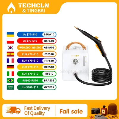 2600W Electric High Temperature and Pressure Steam Clean, 1000ml Large Capacity Water Tank, 6 - Speed Adjustable Pressure