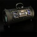 Altoparlante portatile wireless Bluetooth USB AUX TF Card Telefono PC Subwoofer Stereo Surround Sound Uso esterno