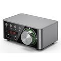 Amplificatore digitale mini Bluetooth 50W x 2 Potenza TPA3116 Ricevitore Home Car Audio Stereo 12V Bluetooth-compatibile USB U-disk TF Lettore di schede musicali