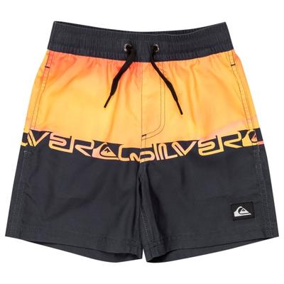 Quiksilver - Kid's Everyday Straight Volley Boy 12 - Boardshorts Gr 3 Years grau Image