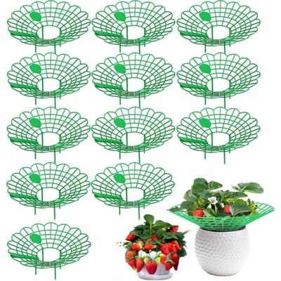 Linghhang - 12-teiliges Set (grün) Erdbeerständer, Erdbeerpflanzenhalter, kleine reife Erdbeeren, Image