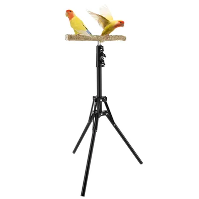 Wood Bird Branch Stand Height Adjustable Foldable Parrot Bird Training Perch Pet Bird Toy Portable