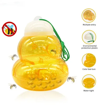 Pest+Control