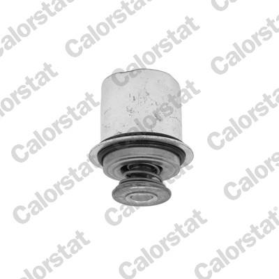 CALORSTAT by Vernet Universal mit Dichtung 72,9mm THS19136.82J Image