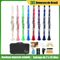 SLADE Clarinetto a 17 tasti Bb B Clarinetto piatto in bachelite Strumento a fiato con custodia Ance Cinghia Disinfenti in tessuto Spedizione dal Brasile