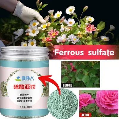 500g Ferrous Sulfate Flower Fertilizer Soil Improvement Acid Rose Rose Camellia Green Laurel Orchid