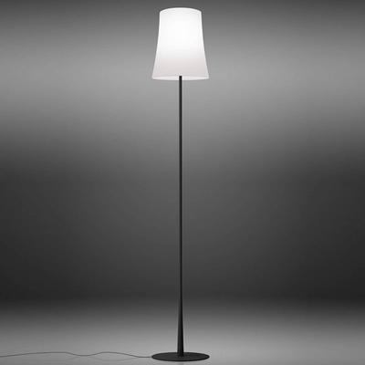 Foscarini Birdie Easy Stehleuchte schwarz Image