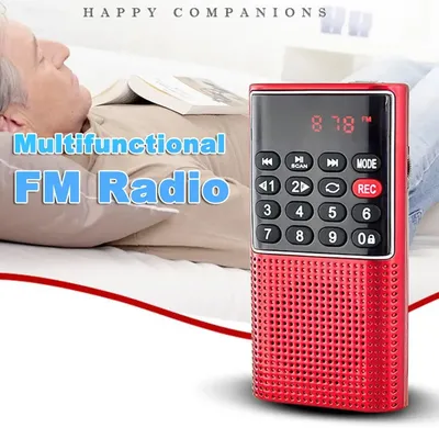 L-328 FM-Radio, wiederaufladbar, Mini-Aufnahme, USB, TF, MP3-Player, Handlautsprecher für Zuhause, Image